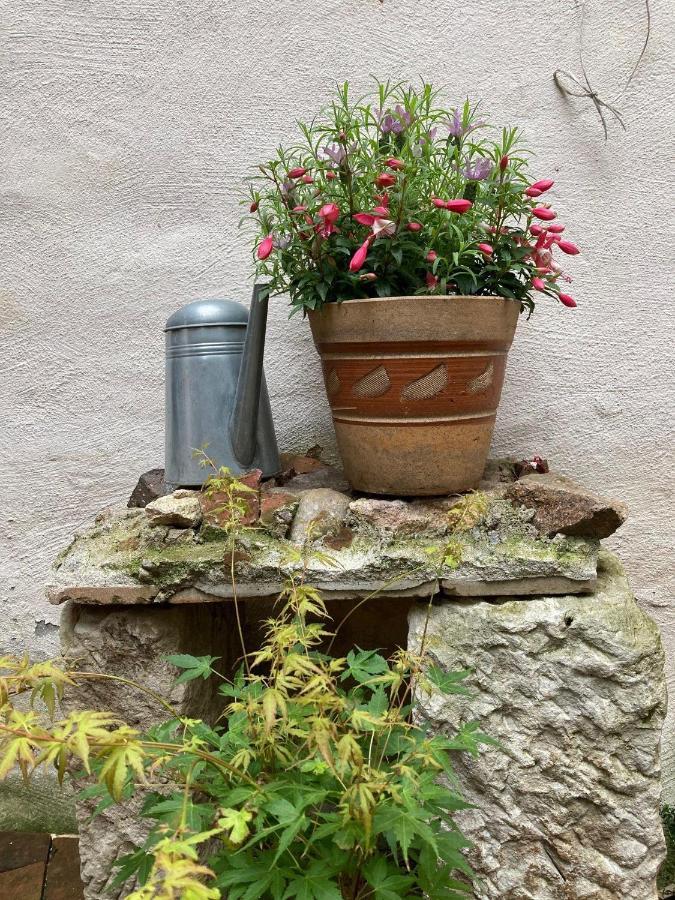 Ferienwohnung RenaissanceStuben Torgau Exterior foto